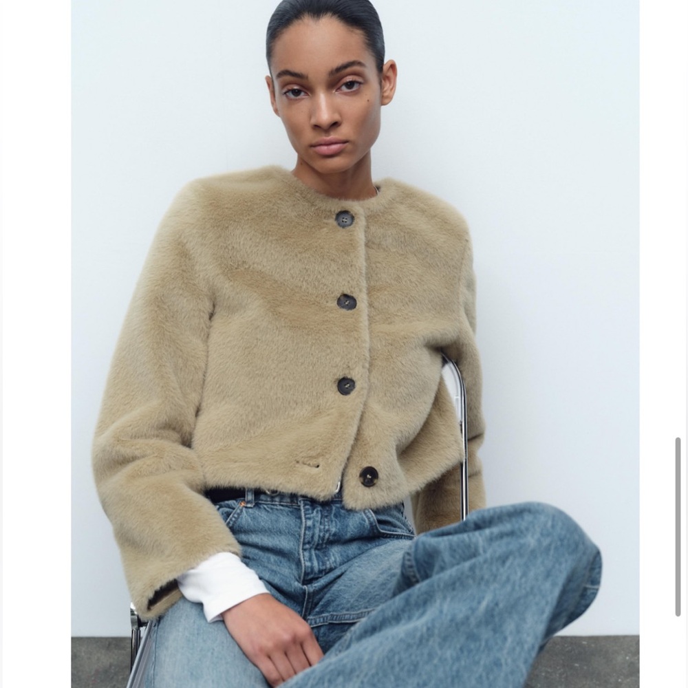 Zara Short Faux Fur Jacket